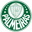 Palmeiras Youth logo