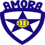 Amora FC U19 logo