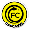 Cascavel Youth logo - Youth VS Cascavel Youth Live Score Today