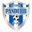 ACS Viitorul Pandurii Targu Jiu logo
