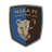 Al Ula FC Youths logo