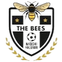 The Bees FC logo - Fc VS Hungry Lions Result