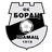 FK Borac Samac logo