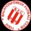 Balatonfuredi FC logo