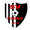 SV Feldbach logo - Feldbach VS Usv Nestelbach Sport