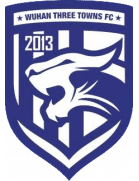 Wuhan Three Towns U17 logo