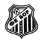 Bor 1919 logo