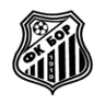 Bor 1919 logo