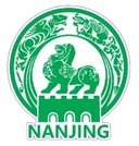 Nanjing Team logo - Team VS Nanjing Team Live Score