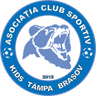 ACS Kids Tampa Brasov logo
