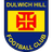 Dulwich Hill SC logo