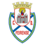 Feirense U17 logo