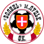 Volyn logo