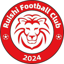 Ganzhou Ruishi U20 logo