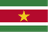 Suriname Women logo
