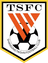Shandong Taishan logo