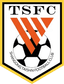 Shandong Taishan logo
