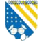 FC Agricola Borcea logo