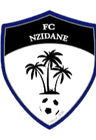 Nzeidane logo