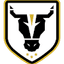 Bulls Academy logo