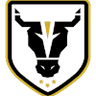 Bulls Academy logo