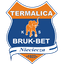 LKS Nieciecza logo