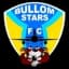 Bullom Stars logo