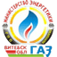 FC Gazovik Vitebsk logo