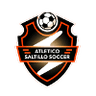 Atletico Saltillo logo