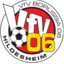 VfV Borussia 06 Hildesheim logo