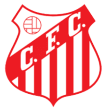 Capivariano FC SP Youth logo