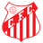 Capivariano FC SP Youth logo