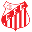 Capivariano FC SP Youth logo