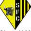 Shastri FC logo