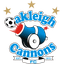 Oakleigh Cannons logo