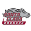 Santa Clara Broncos (W) logo