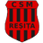 CSM Resita U19 logo