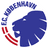Kobenhavn Reserve logo