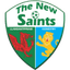 The New Saints Women logo