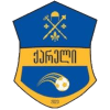 Kareli logo - Ii VS Kareli Score Today