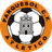 CD Parquesol CF Women logo