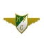 Moreirense U19 logo