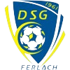 DSG Ferlach logo - Ferlach VS Tsv Grafenstein Live