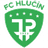 Hlucin logo