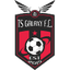 TS Galaxy logo