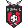TS Galaxy logo