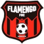 Flamengo FBC (W) logo