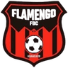 Flamengo FBC (W) logo