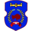 Nadezhda Baranovici logo