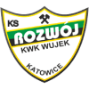 Rozwoj Katowice logo - Czestochowa VS Rozwoj Katowice Result Today